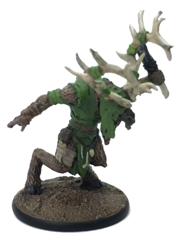 Rangifer-002.png